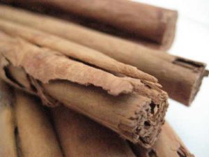 cinnamon quills 6 inch - copyright d hugonin