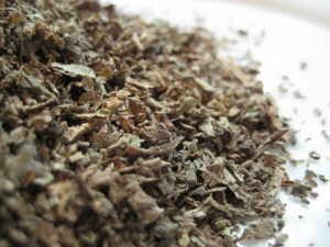 lobelia herb cut