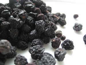 sloe-berries