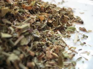 soapwort herb