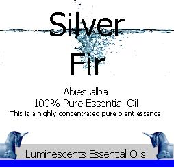 Silver Fir Essential Oil Label coyright d hugonin