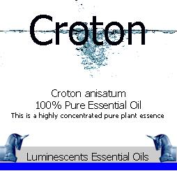 Croton-essential-oil