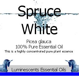 White Spruce Essential Oil