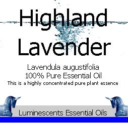 highland lavender essential oil
