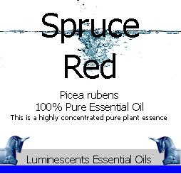 red spruce essential oil