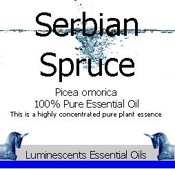 serbian spruce label