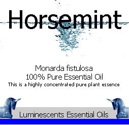 Horsemint Essential Oil label