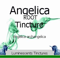 angelica-root-tincture-label