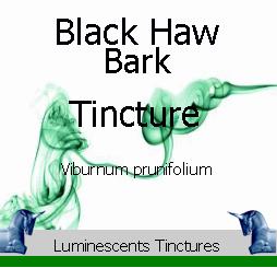 black-haw-bark-tincture