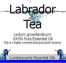labrador-tea-essential-oil-label