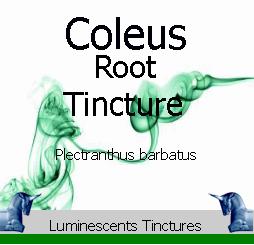 coleus-root-tincture-label