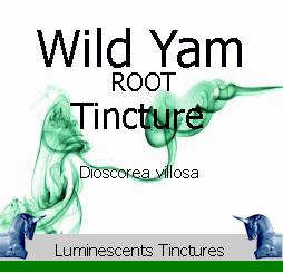 wild-yam-root-tincture-label