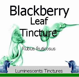 blackberry-leaf-tincture-label