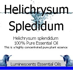 helichrysum-splendidum-label