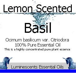 lemon-scented-basil-essential-oil-label