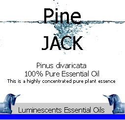 jack-pine-essential-oil-label