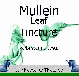 mullein-leaf-tincture-label