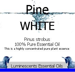 white-pine-essential-oil-label