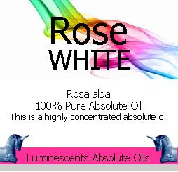 white-rose-absolute-label