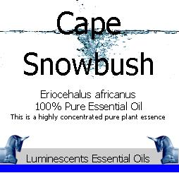 capesnowbush-essential-oil