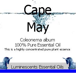 cape-may-essential-oil