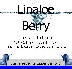 Linaloe Berry Essential Oil