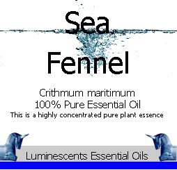 Sea Fennel Essential Oil