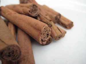 cinnamon quills 3 inch - copyright d hugonin