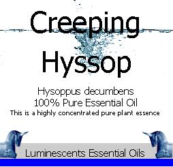 Creeping Hyssop Essential Oil