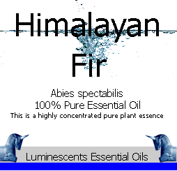Himalayan Fir Essential Oil Label copyright d hgugonin