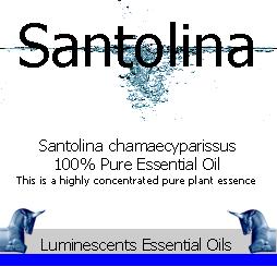Santolina essential oil label