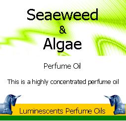 Seaweed and algae perfume oil copyright d hugonin