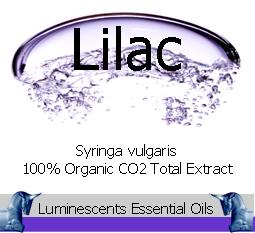 Lilac Total CO2 Extract