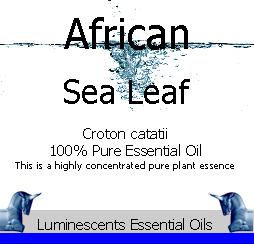 African Sea Leaf Essential Oil label