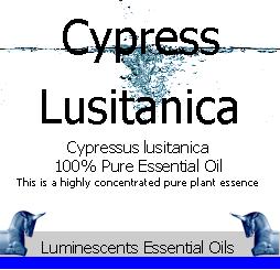 Cypress Lusitanica Essential Oil