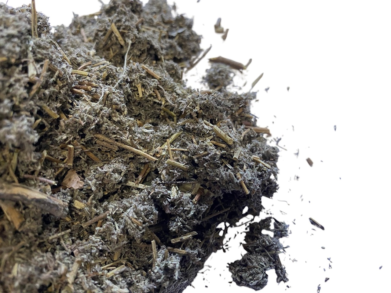 an image of roman wormwood copyright d hugonin not to be used without permission