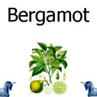 Bergamot Ready To Use