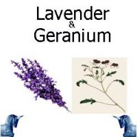 Lavender & Geranium