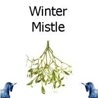 Winter Mistle