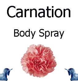 Carnation Body Spray