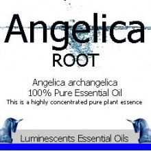 Angelica Root essential oil label