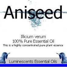 Aniseed essential oil label