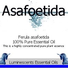 asafoetida essential oil