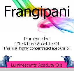 frangipani absolute oil label
