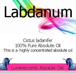 labdanum absolute oil