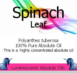 Spinach Leaf absolute Oil