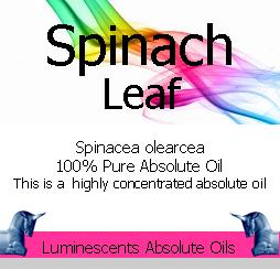 Spinach Leaf absolute Oil Label