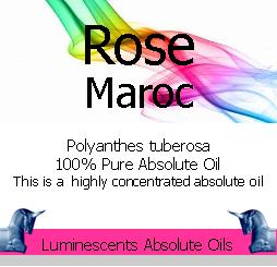 Rose Maroc Absolute Oil