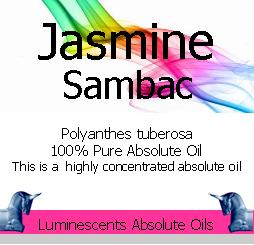 Jasmine Sambac Absolute Oil