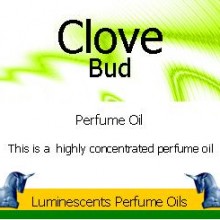 Clove Bud Perfume Oil
